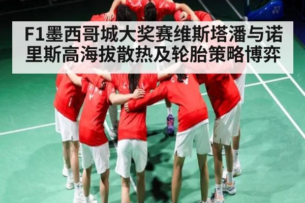 F1墨西哥城大奖赛维斯塔潘与诺里斯高海拔散热及轮胎策略博弈 - Kaiyun APP