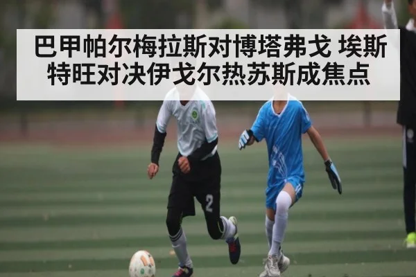巴甲帕尔梅拉斯对博塔弗戈 埃斯特旺对决伊戈尔热苏斯成焦点 - Kaiyun APP
